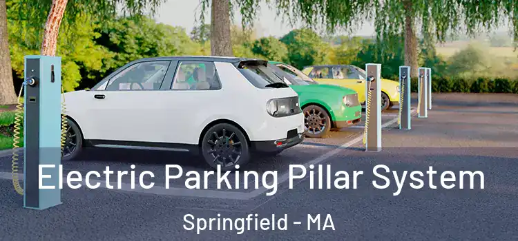 Electric Parking Pillar System Springfield - MA