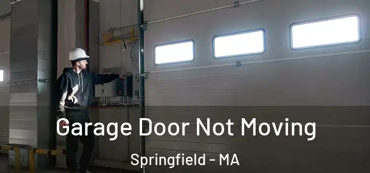  Garage Door Not Moving Springfield - MA