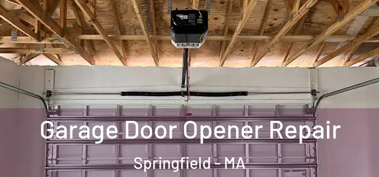  Garage Door Opener Repair Springfield - MA