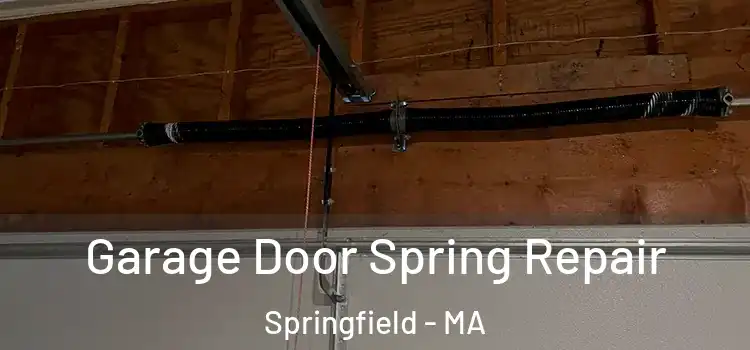  Garage Door Spring Repair Springfield - MA