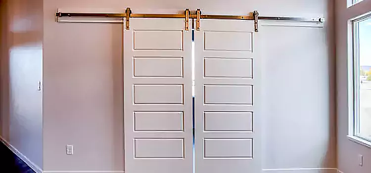 Glass Barn Door with Installation Hardware Kit Springfield