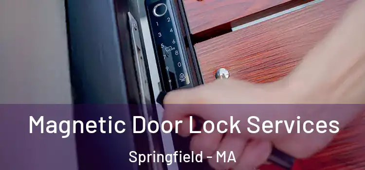 Magnetic Door Lock Services Springfield - MA