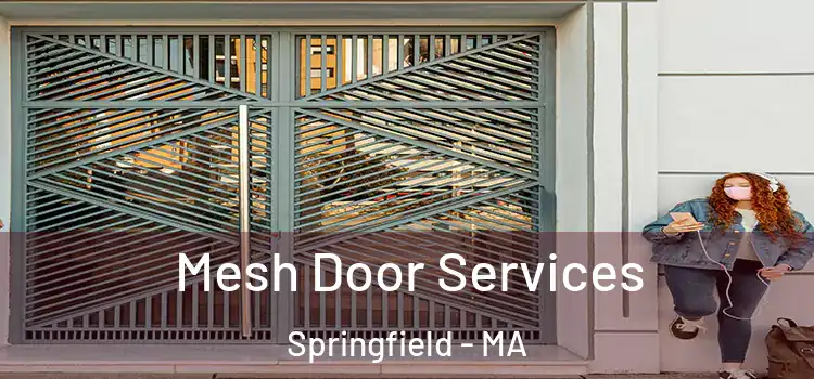 Mesh Door Services Springfield - MA